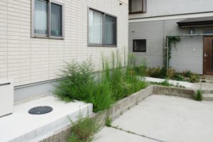 賃貸物件に雑草