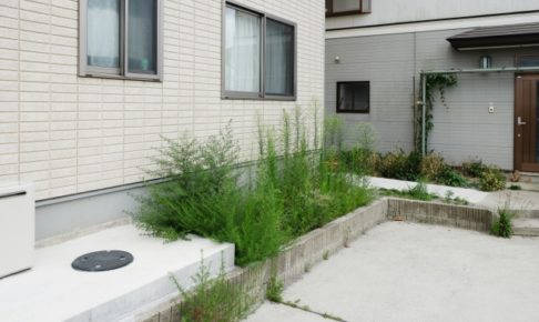 賃貸物件に雑草
