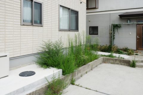賃貸物件に雑草
