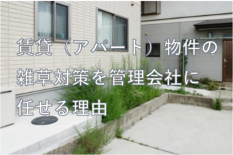 賃貸（アパート）物件の雑草対策を管理会社に任せる理由